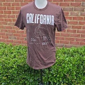 Hollister Brown California Crew Neck Tee Size S
